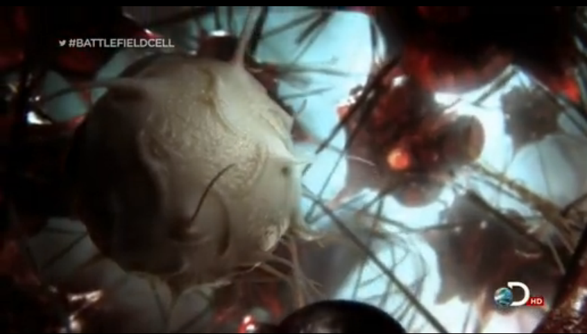 绝对好奇：细胞战场剧照的剧照