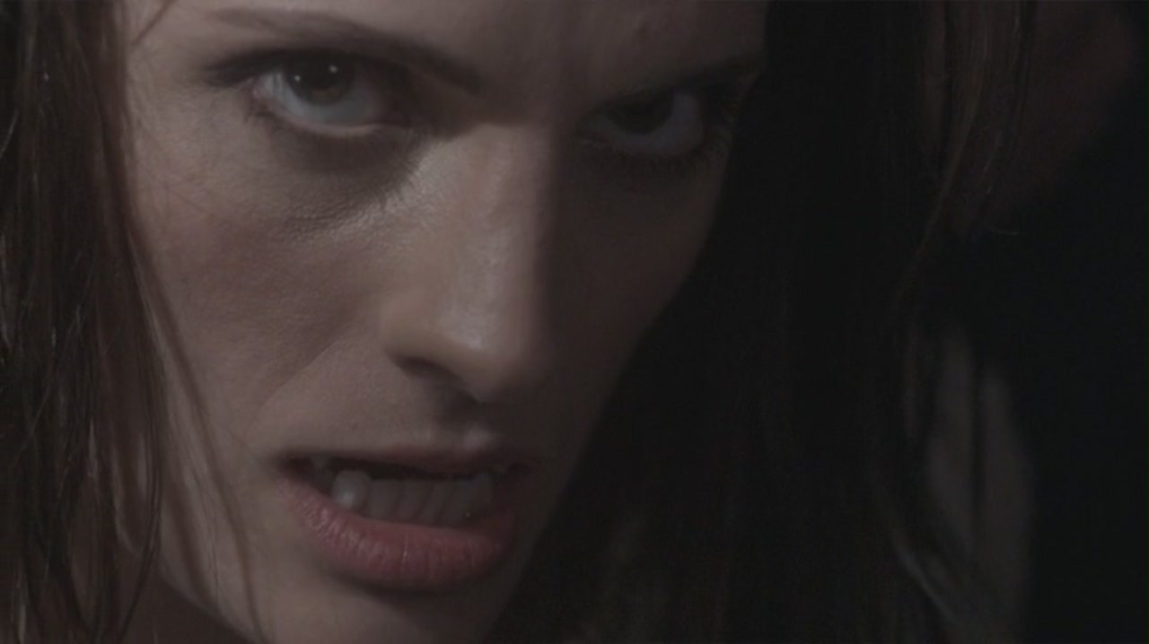 图书馆员：圣杯的诅咒剧照的剧照