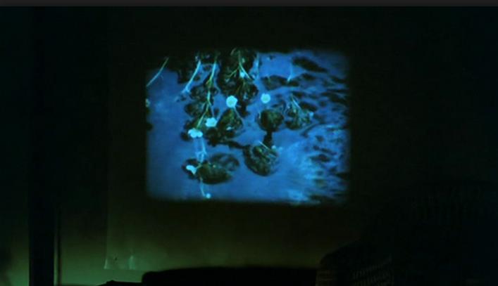 狂喜剧照的剧照