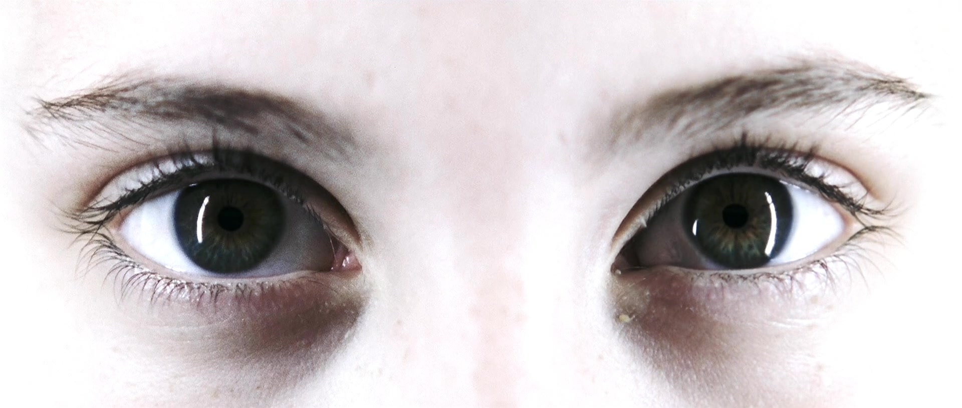 黑暗楼层剧照的剧照