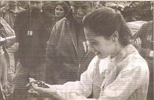 迷失世界剧照的剧照