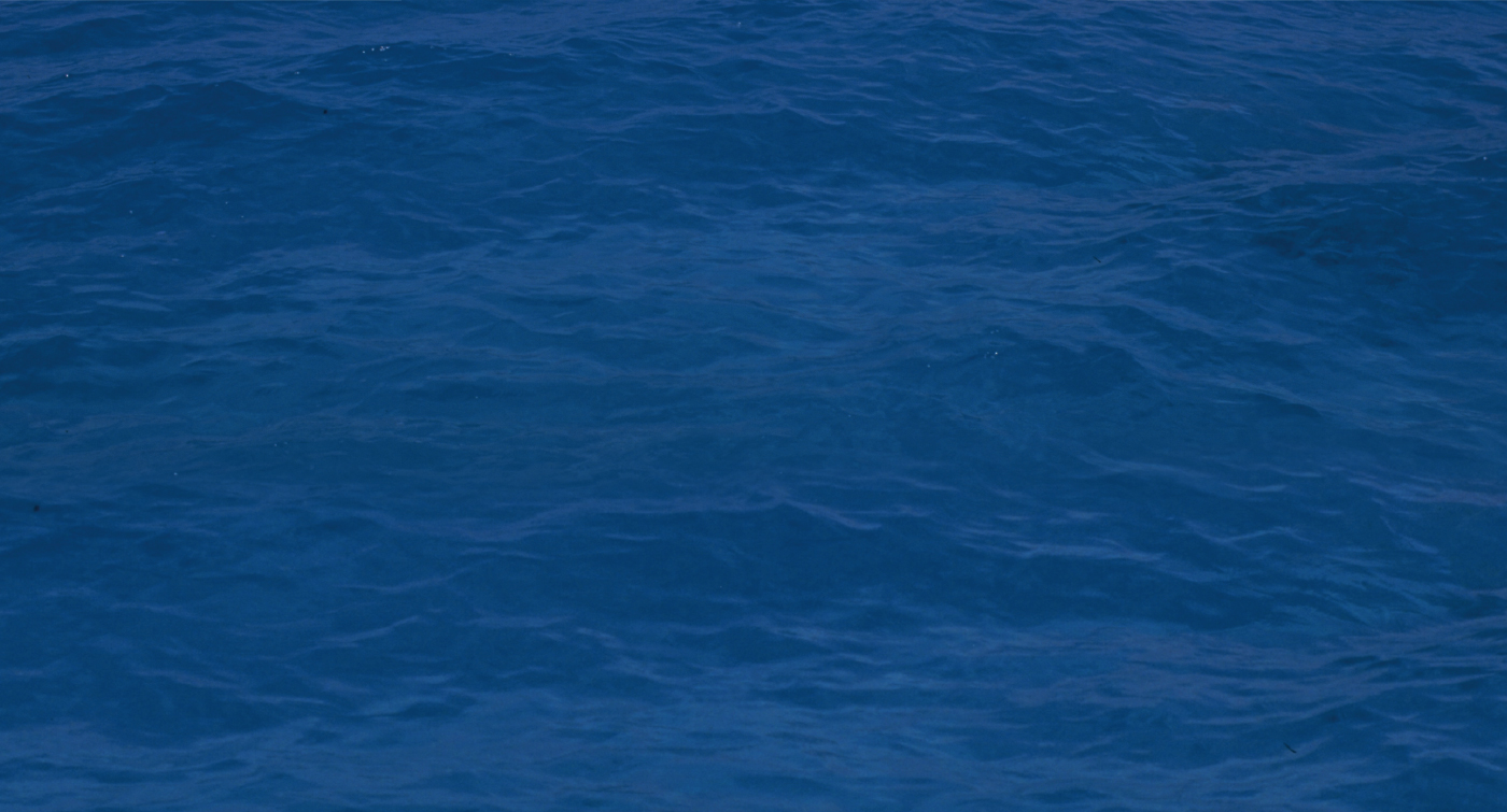 渴望拯救剧照的剧照