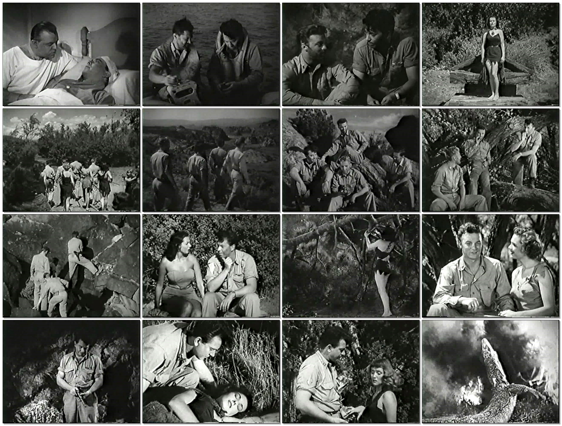 野性女人剧照的剧照