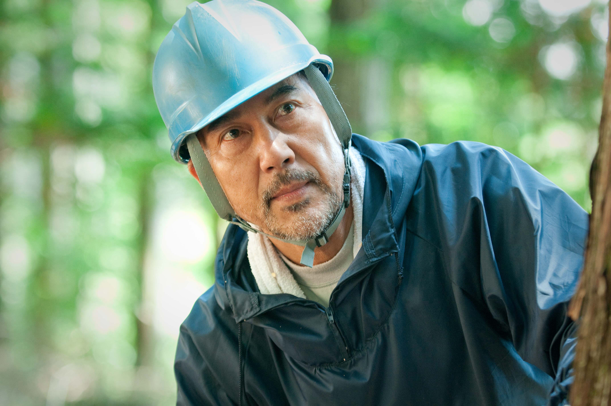 啄木鸟和雨剧照的剧照