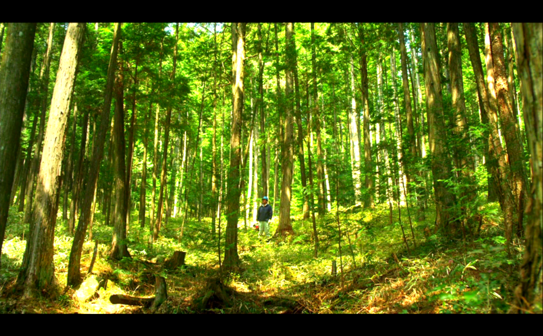啄木鸟和雨剧照的剧照