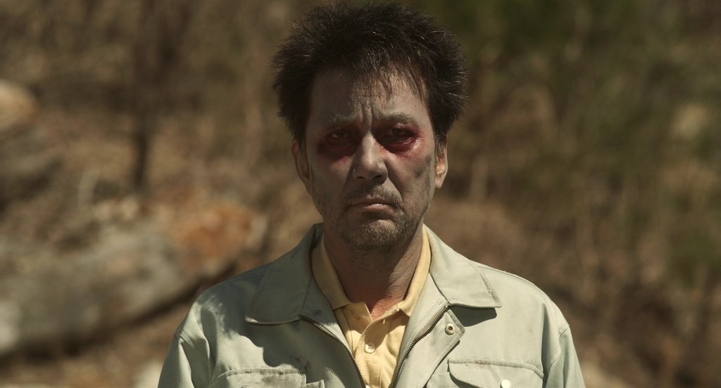 啄木鸟和雨剧照的剧照