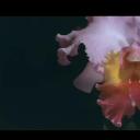 星期五的卧室剧照