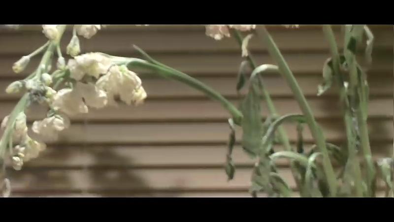 星期五的卧室剧照的剧照