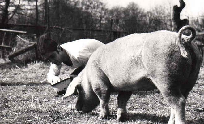 一个人和他的猪剧照的剧照