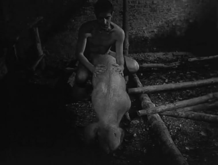 一个人和他的猪剧照的剧照