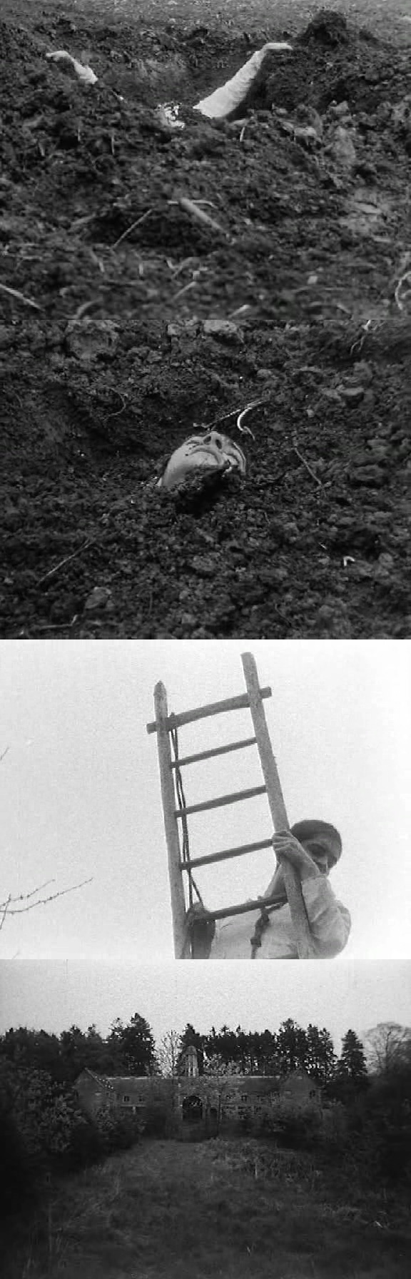 一个人和他的猪剧照的剧照