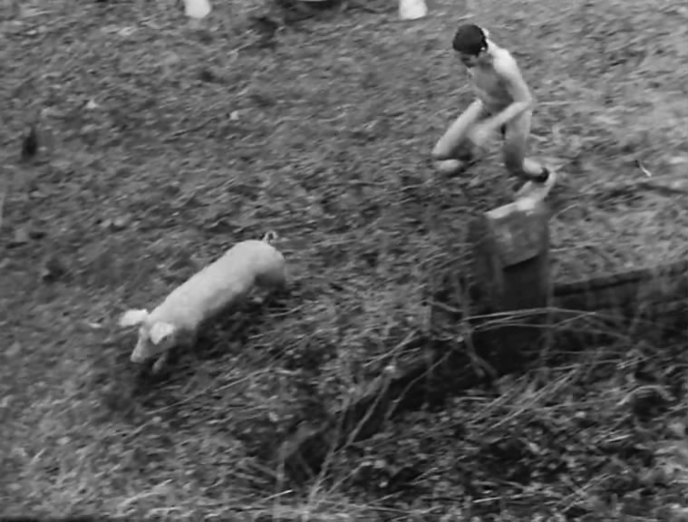 一个人和他的猪剧照的剧照