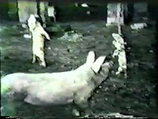 一个人和他的猪剧照的剧照