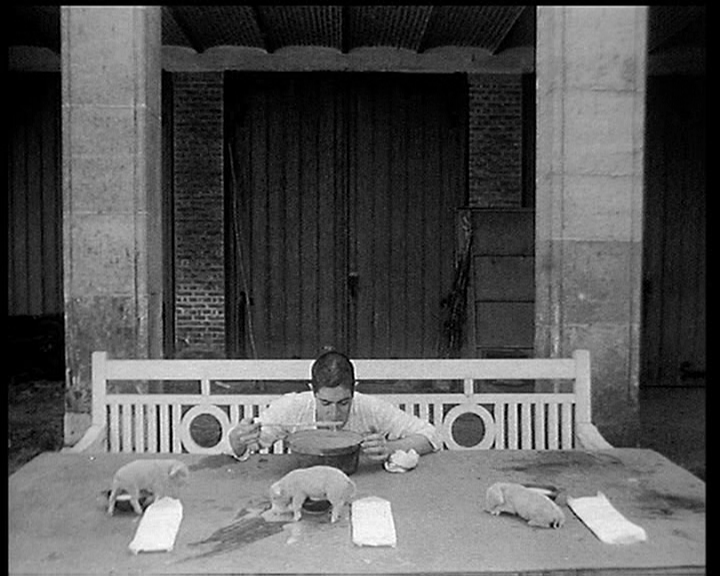 一个人和他的猪剧照的剧照