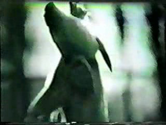 一个人和他的猪剧照的剧照