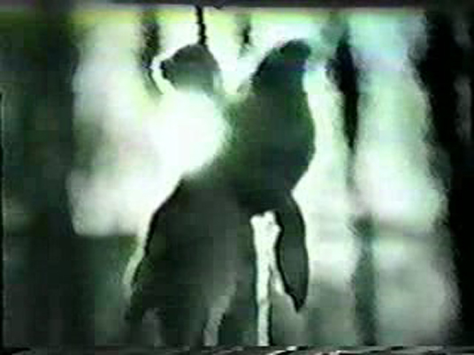 一个人和他的猪剧照的剧照