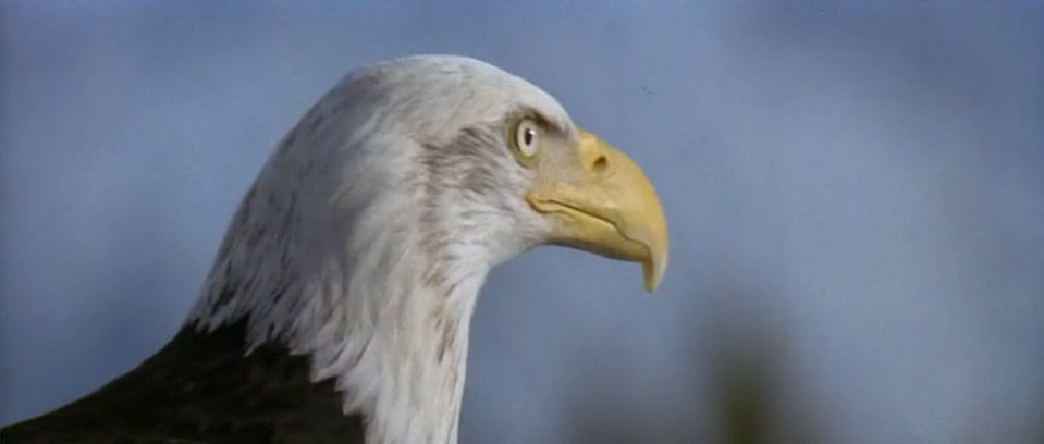 绝地战将剧照的剧照