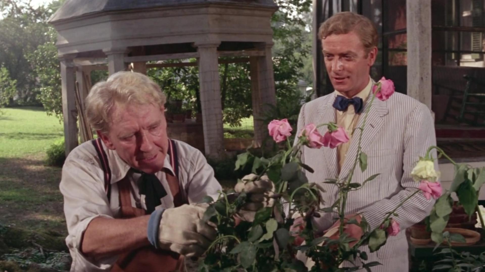 田野泪剧照的剧照