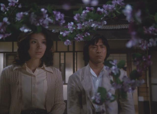 刑事物语2：片山刑警在果园剧照的剧照