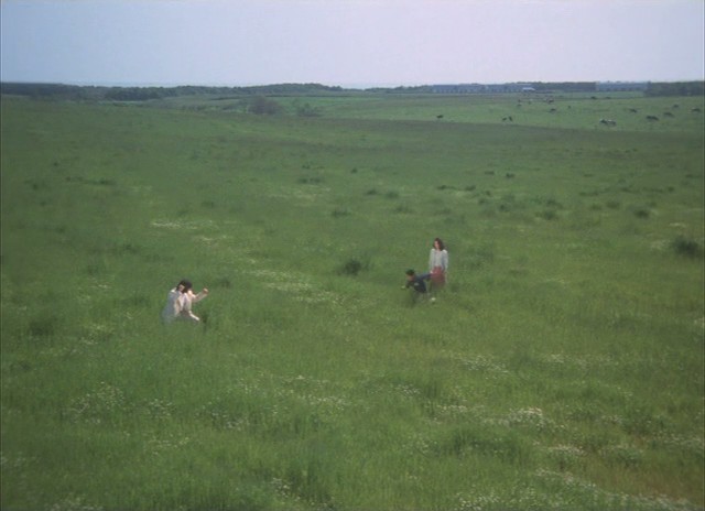 刑事物语2：片山刑警在果园剧照的剧照