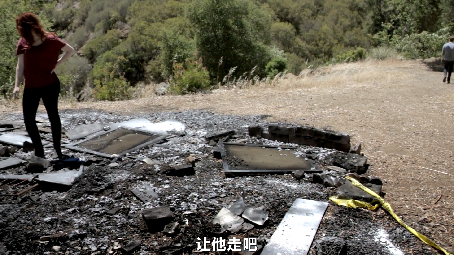 保持关注：大理石黄蜂的故事剧照的剧照