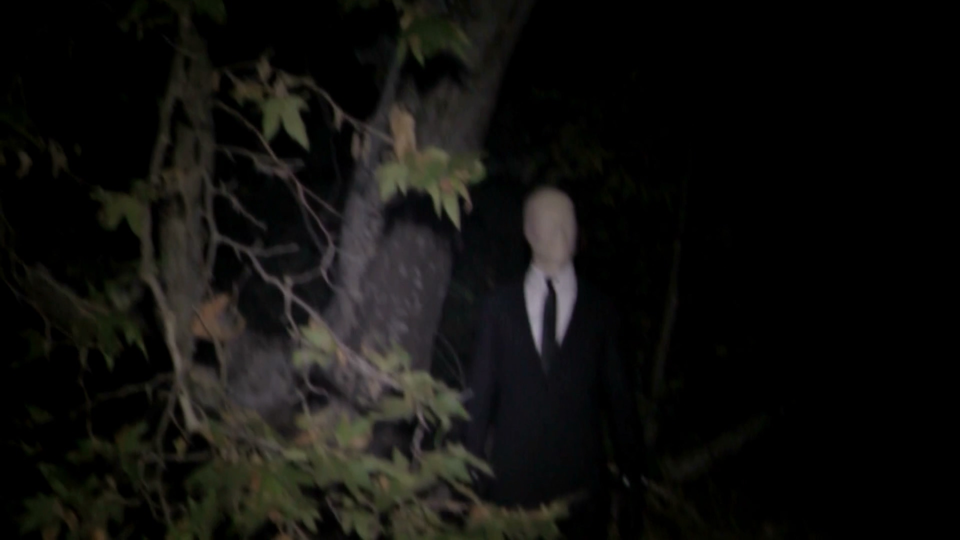 保持关注：大理石黄蜂的故事剧照的剧照