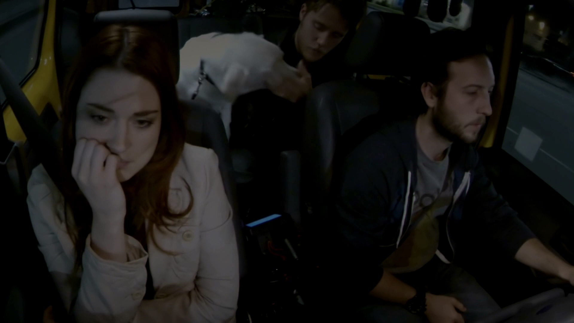 保持关注：大理石黄蜂的故事剧照的剧照