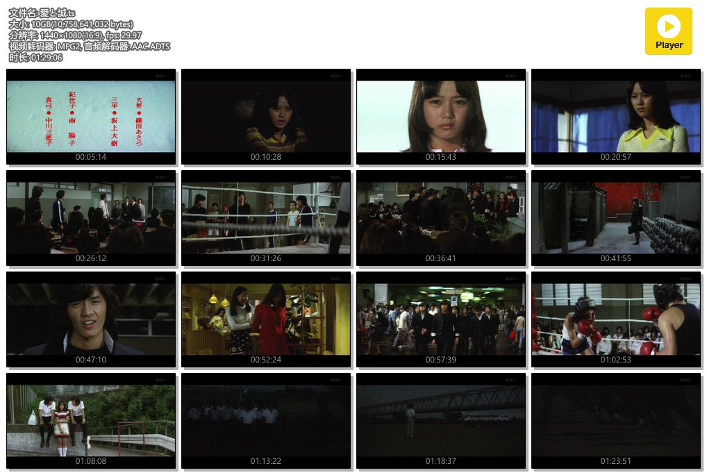 爱与诚剧照的剧照