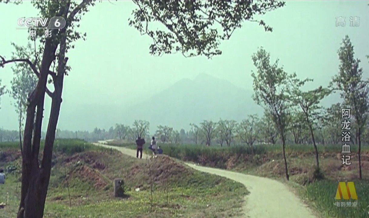 阿龙浴血记剧照的剧照