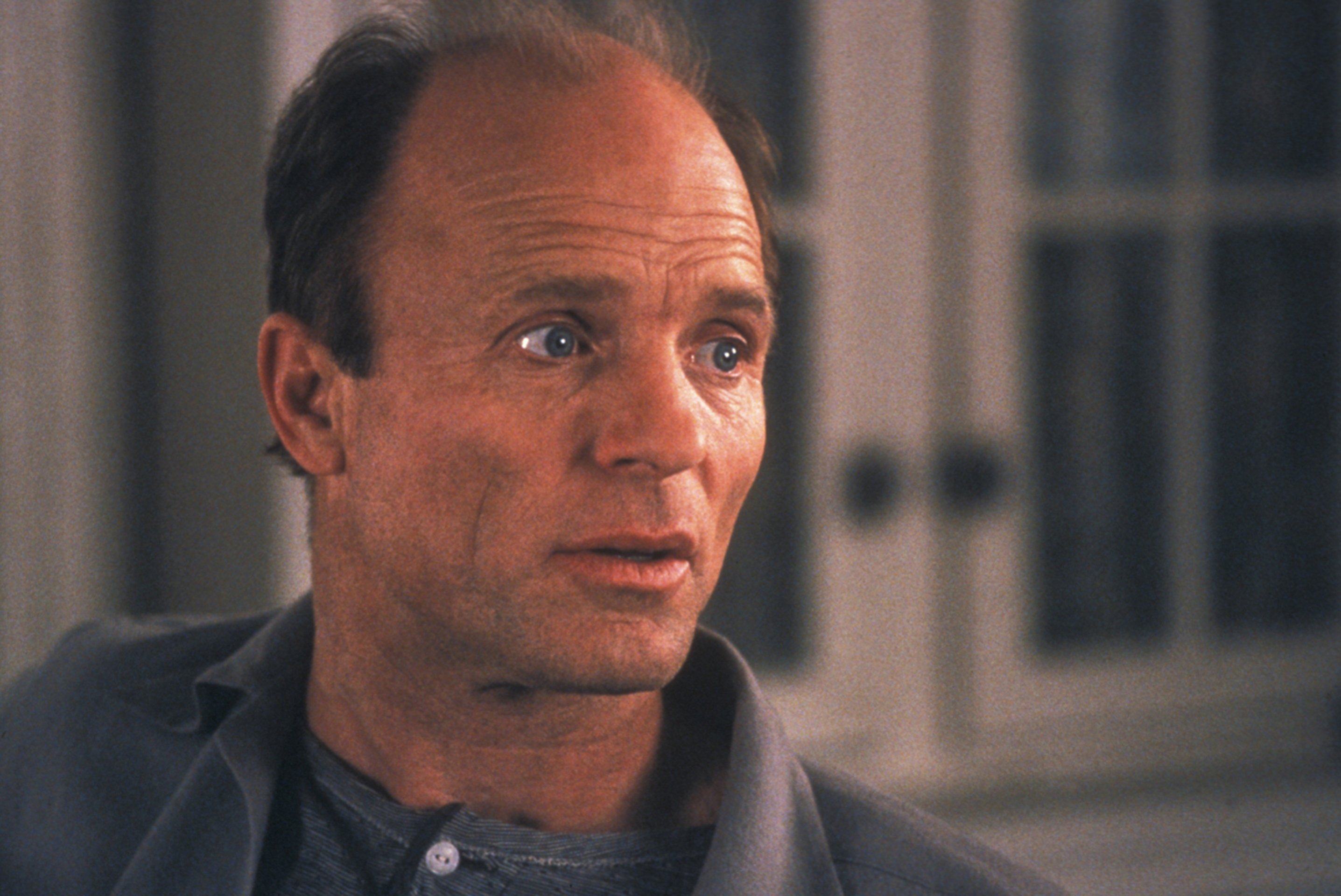 波洛克剧照的剧照