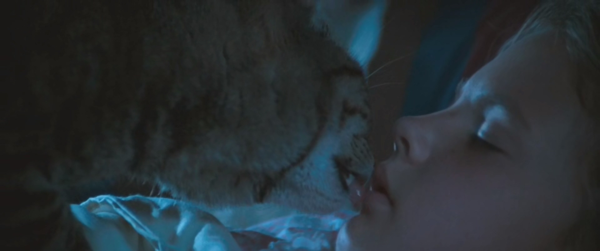 猫眼看人剧照的剧照