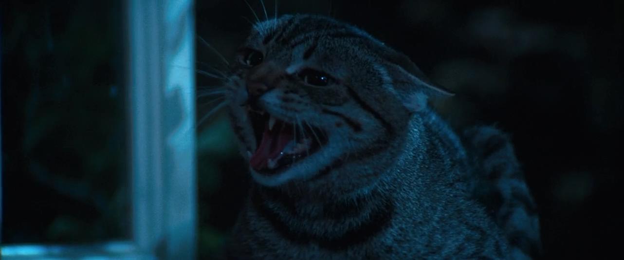 猫眼看人剧照的剧照