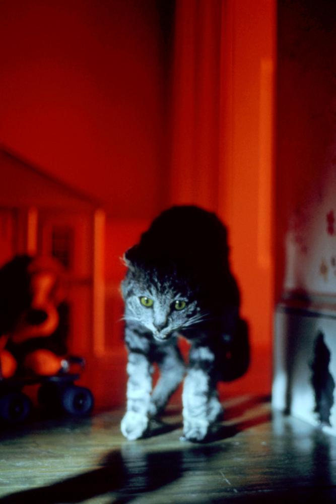 猫眼看人剧照的剧照