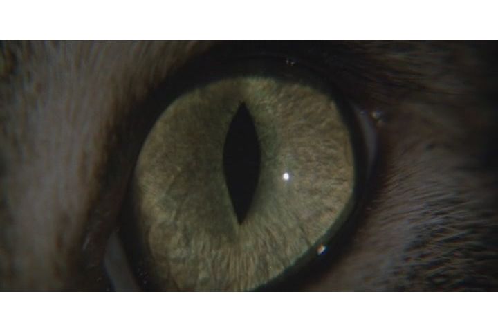 猫眼看人剧照的剧照