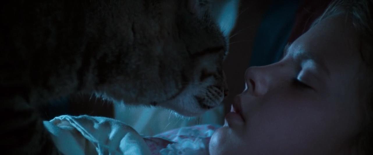 猫眼看人剧照的剧照