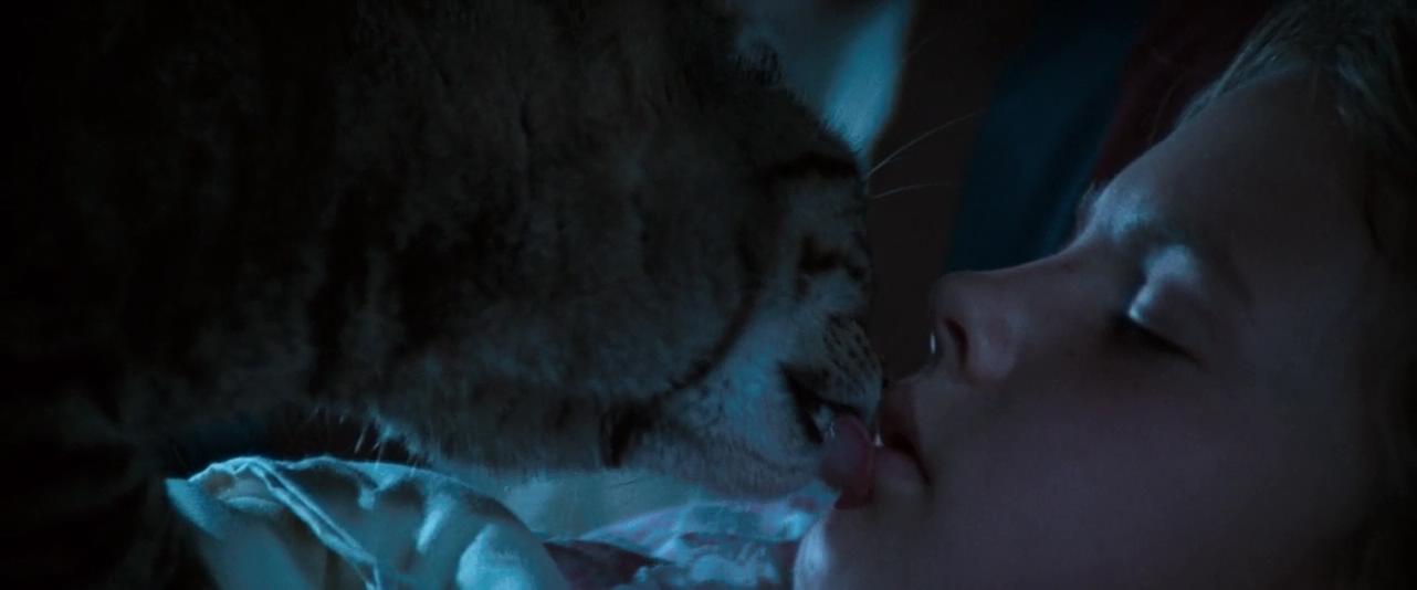 猫眼看人剧照的剧照