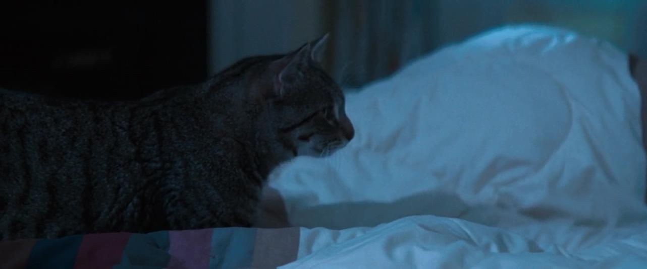 猫眼看人剧照的剧照