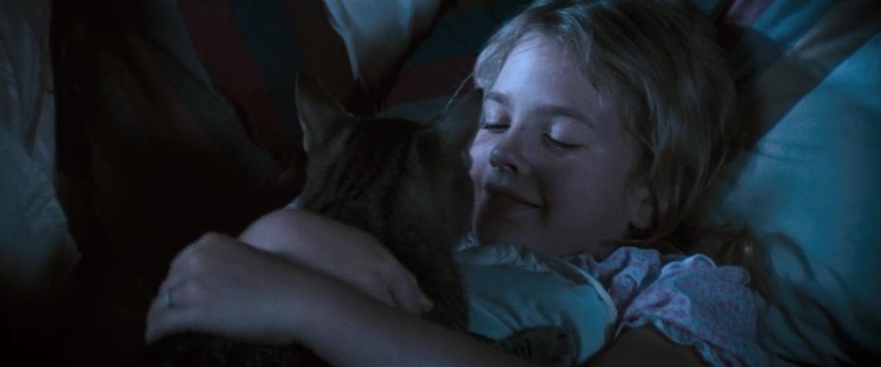 猫眼看人剧照的剧照