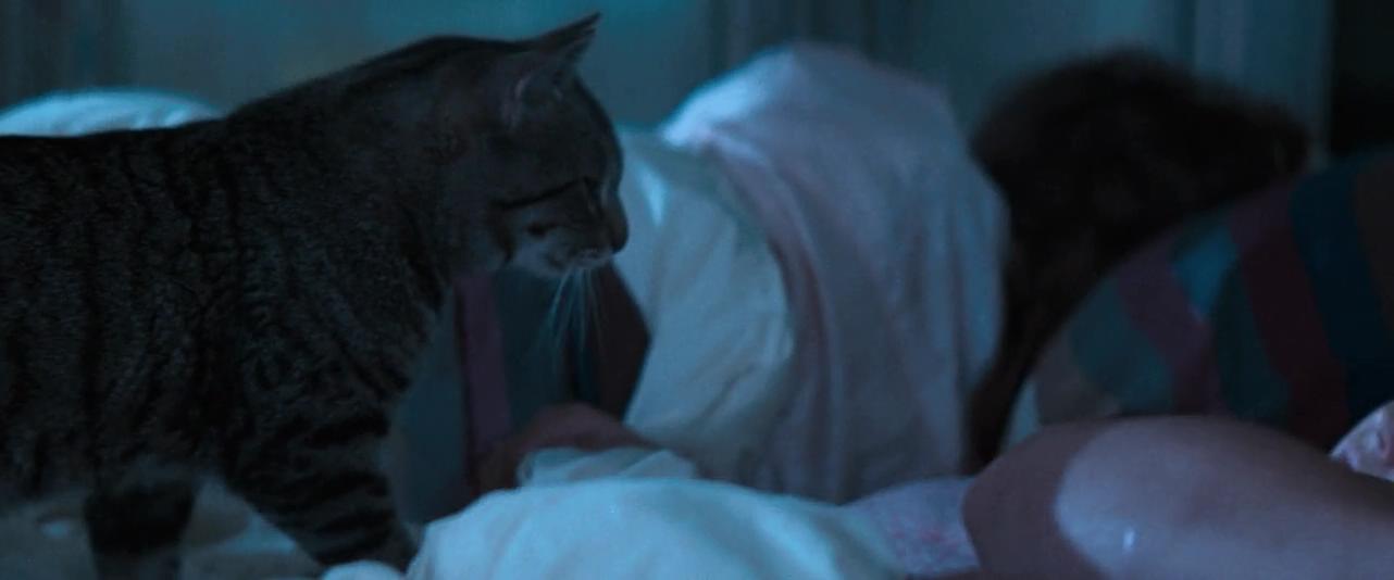 猫眼看人剧照的剧照