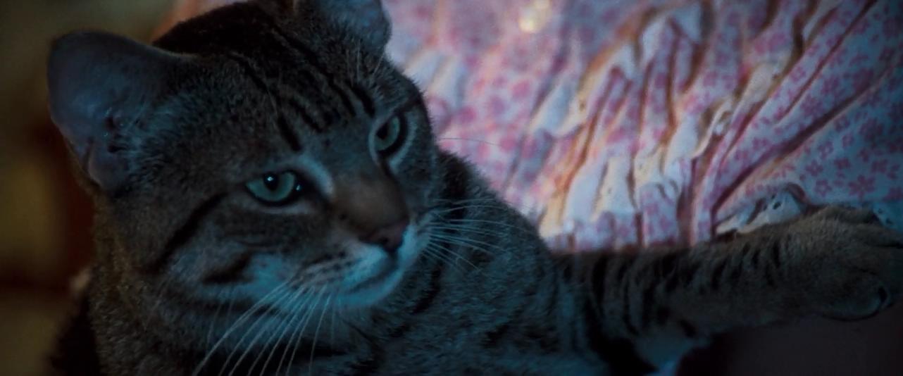 猫眼看人剧照的剧照