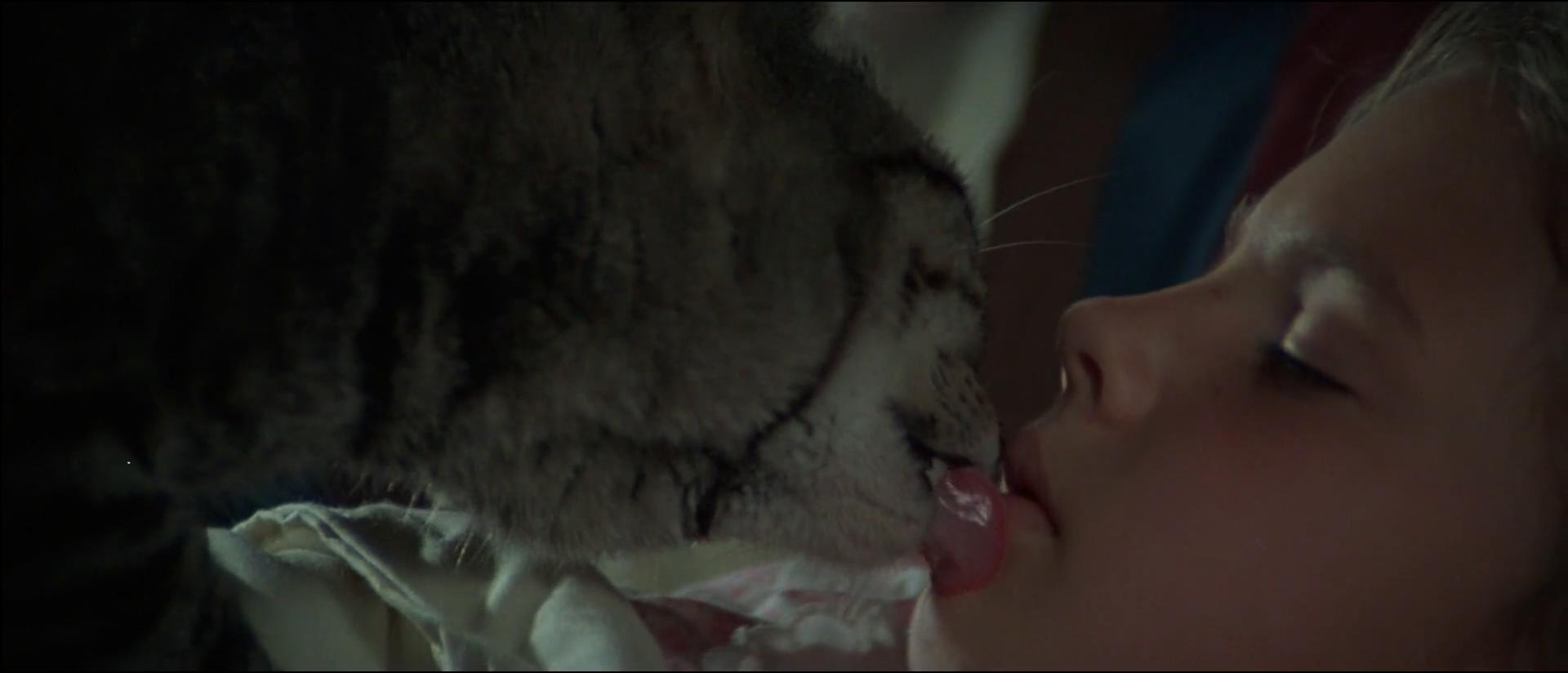 猫眼看人剧照的剧照