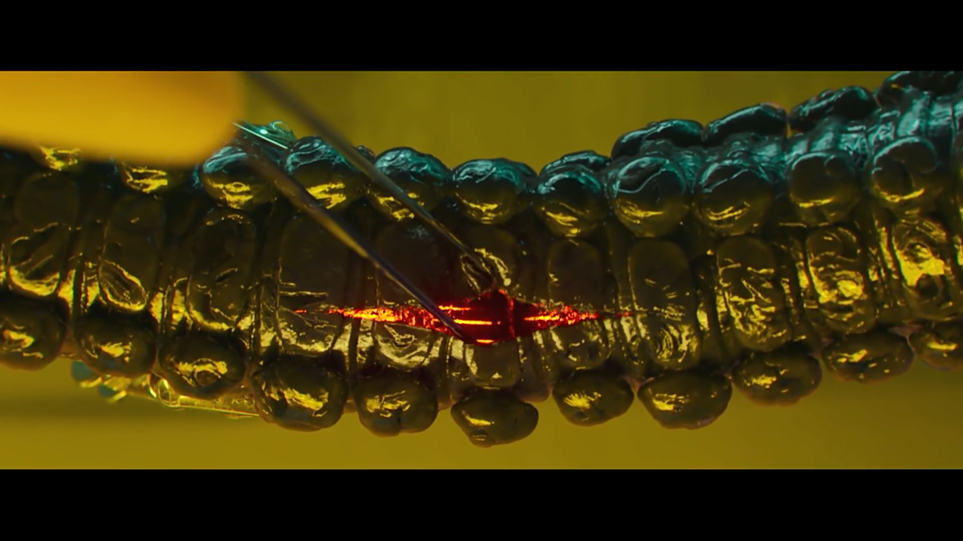 双子座计划剧照的剧照