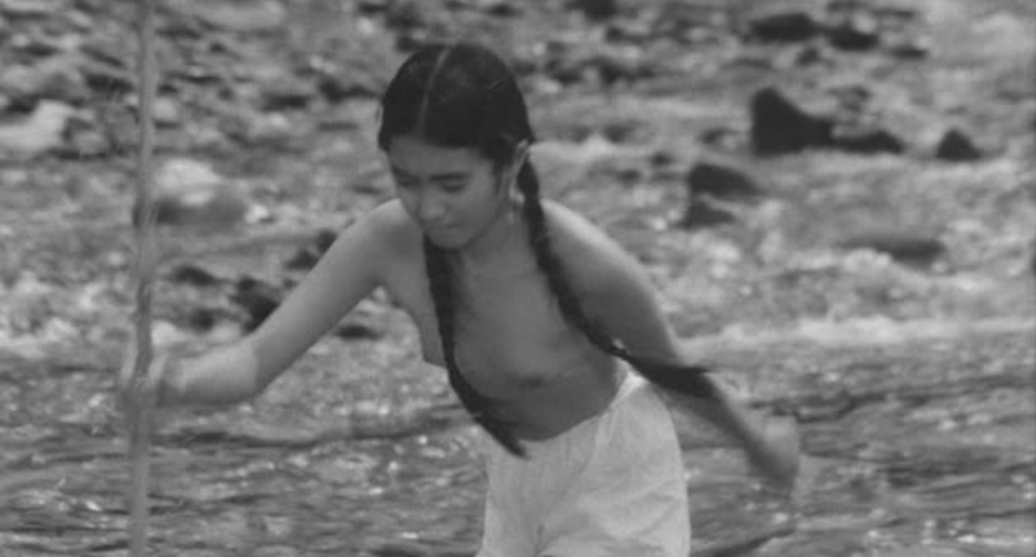 落叶树剧照的剧照