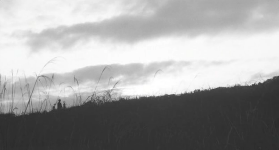 落叶树剧照的剧照