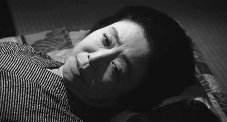 落叶树剧照的剧照