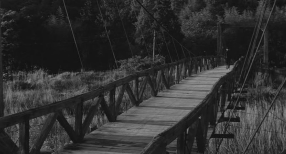 落叶树剧照的剧照