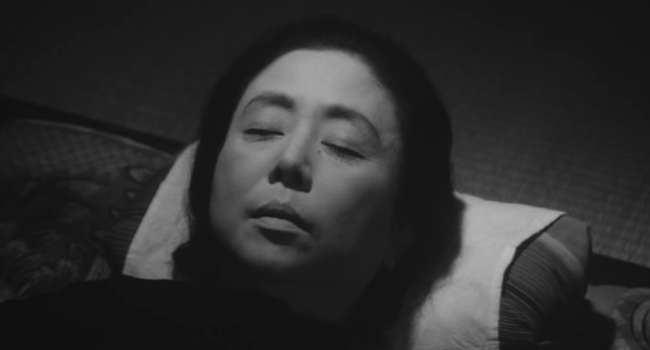 落叶树剧照的剧照