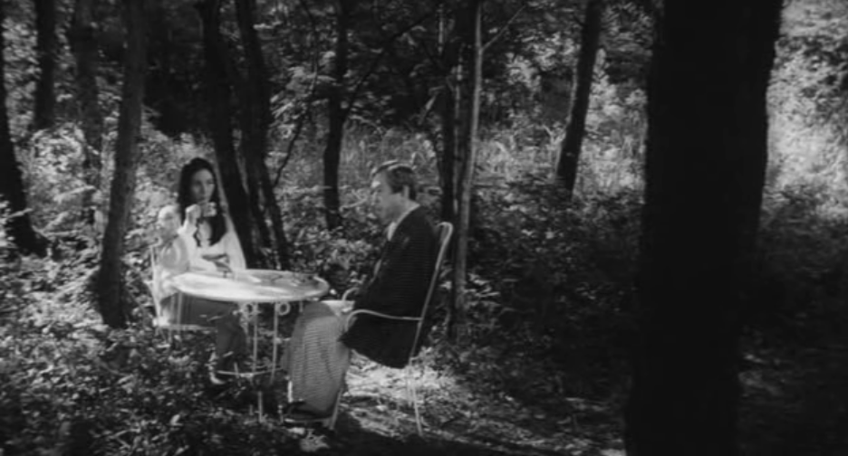 落叶树剧照的剧照