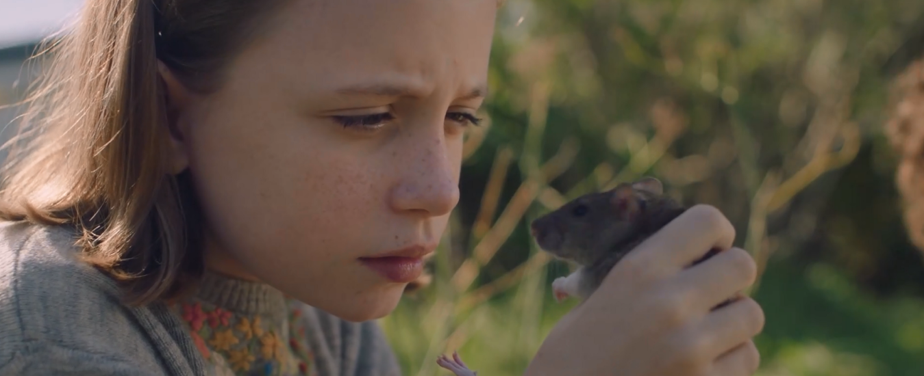夏日国度剧照的剧照