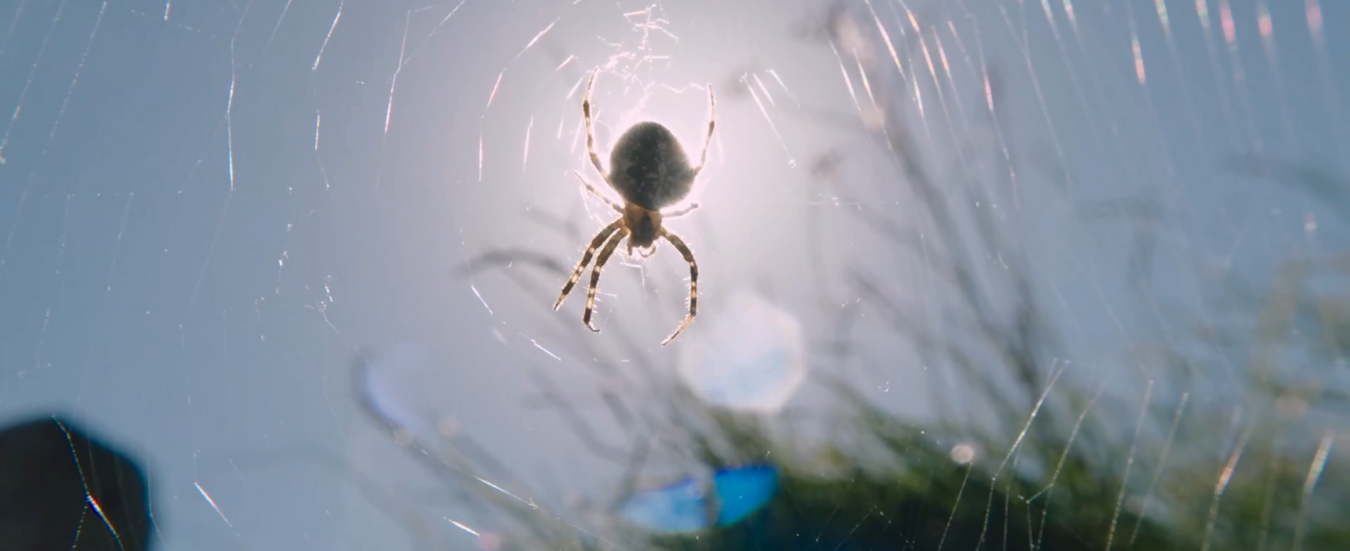 夏日国度剧照的剧照